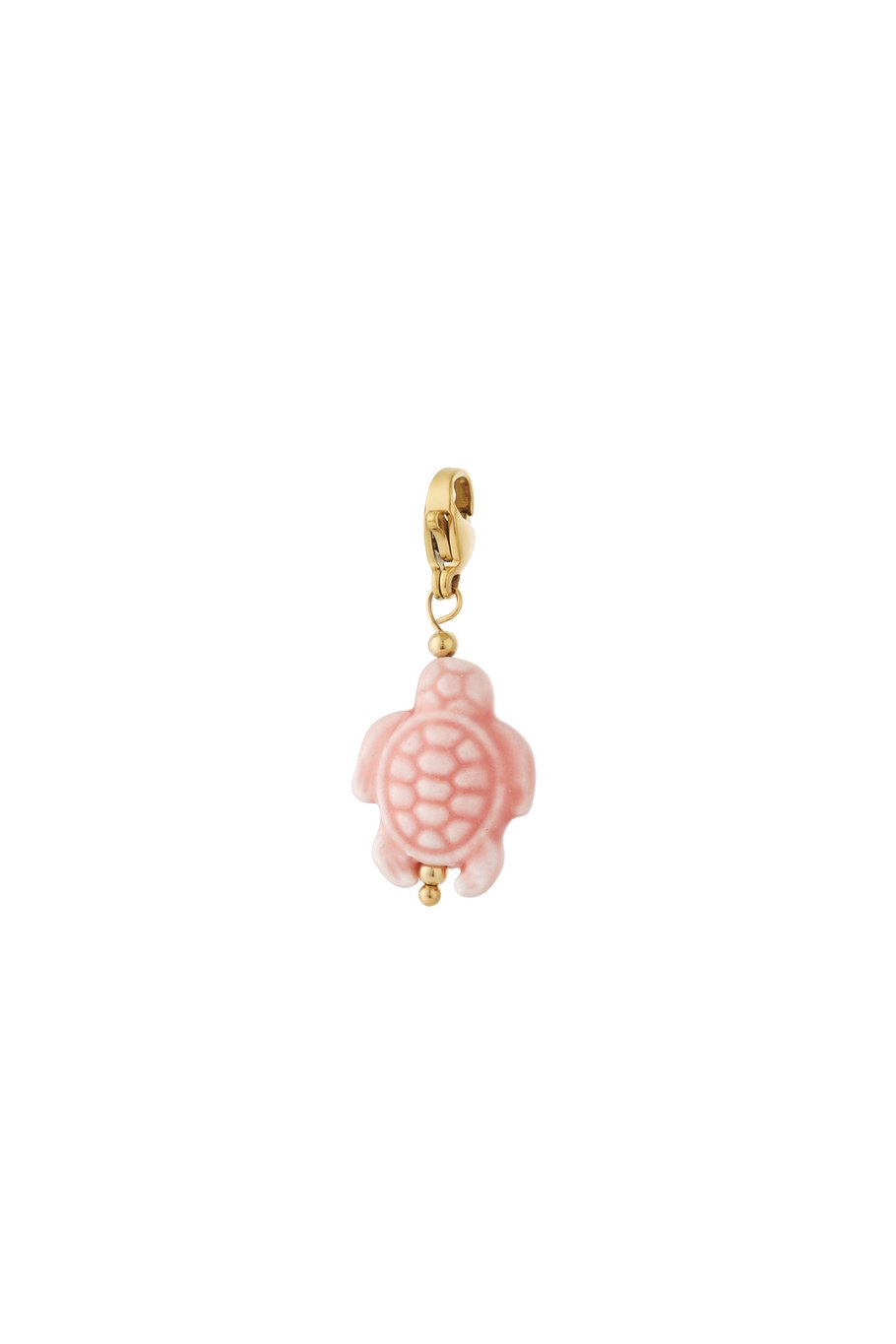 Charm - Tortue