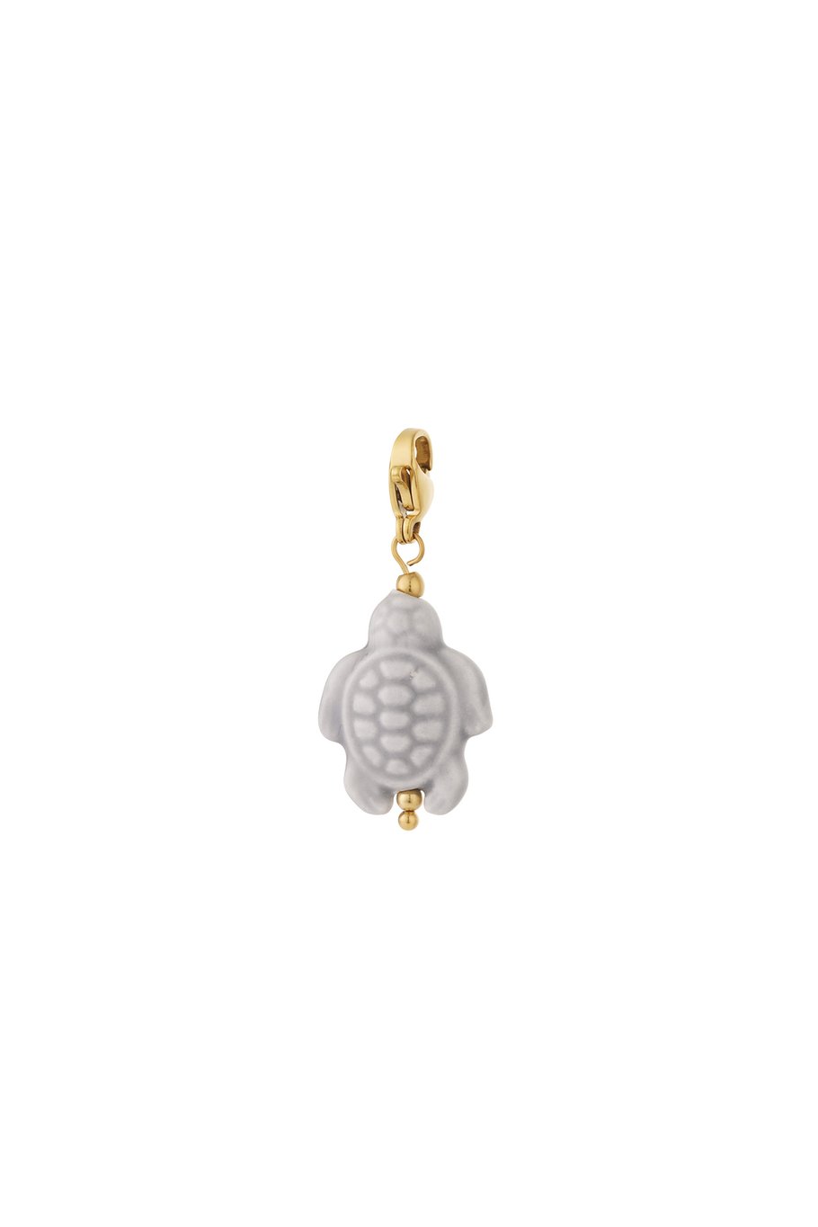 Charm - Tortue