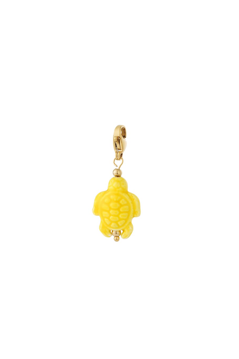 Charm - Tortue